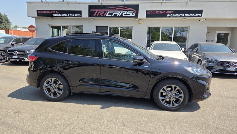 FORD Kuga 2.5 Plug In Hybrid 225 CV CVT 2WD ST-Line X PERMUTE