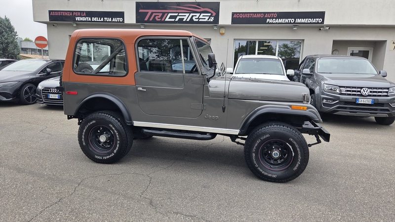 JEEP CJ-7 CJ7 Renegade 93 PERMUTE