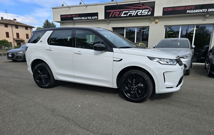 LAND ROVER DISCOVERY SPORT 2.0 eD4 163 CV 2WD R-Dynamic AWD PERMUTE